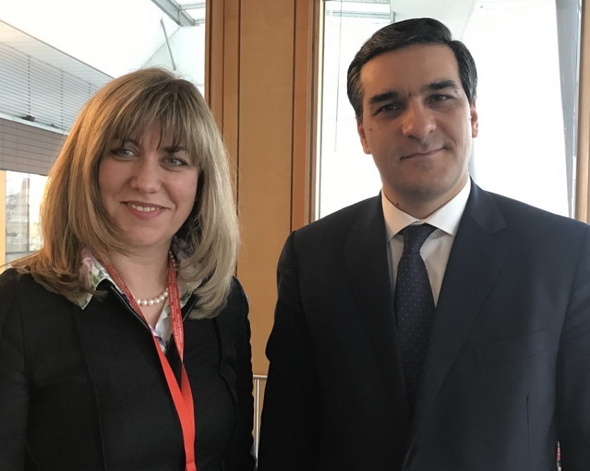 The Human Rights Defender met with the Director General of the Directorate General of Democracy of the Council of Europe 